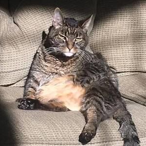 Meet your Posher, Cathie